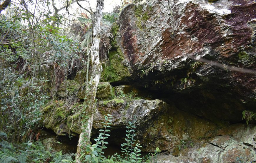 Sendero La Guarida