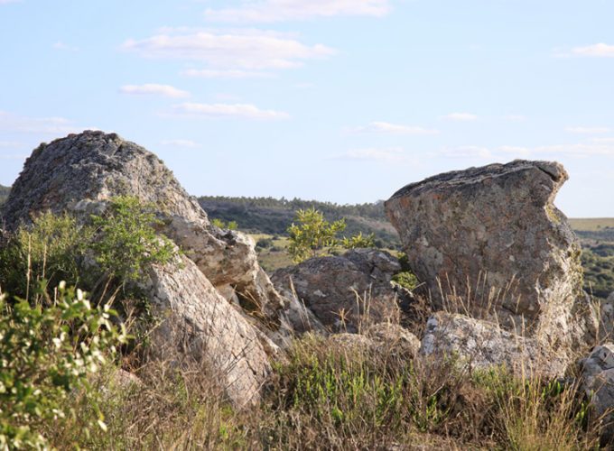 Mangas de piedra