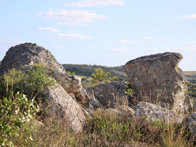 Mangas de piedra
