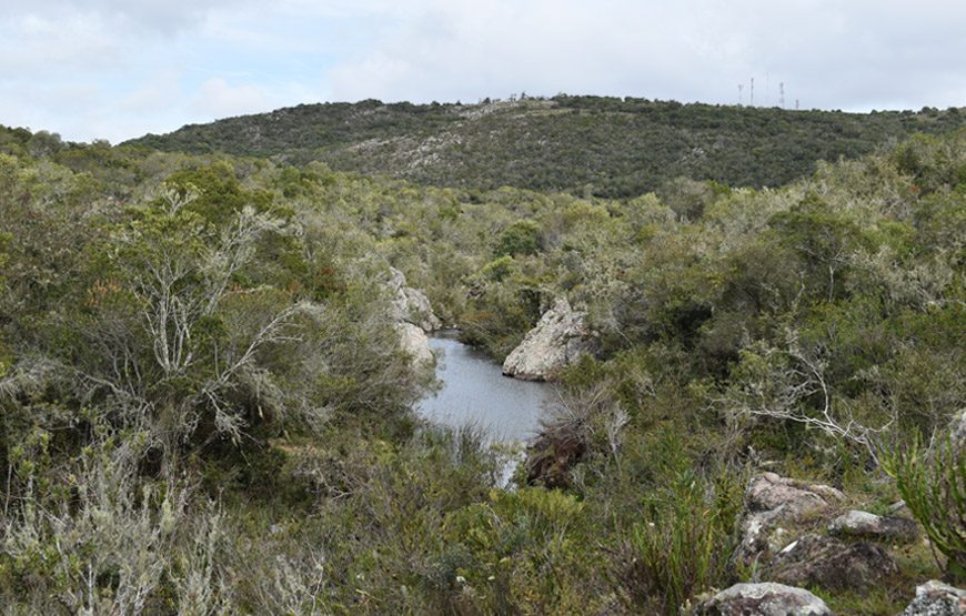 Guiado al arroyo