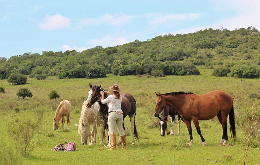 Tour serrano con almuerzo