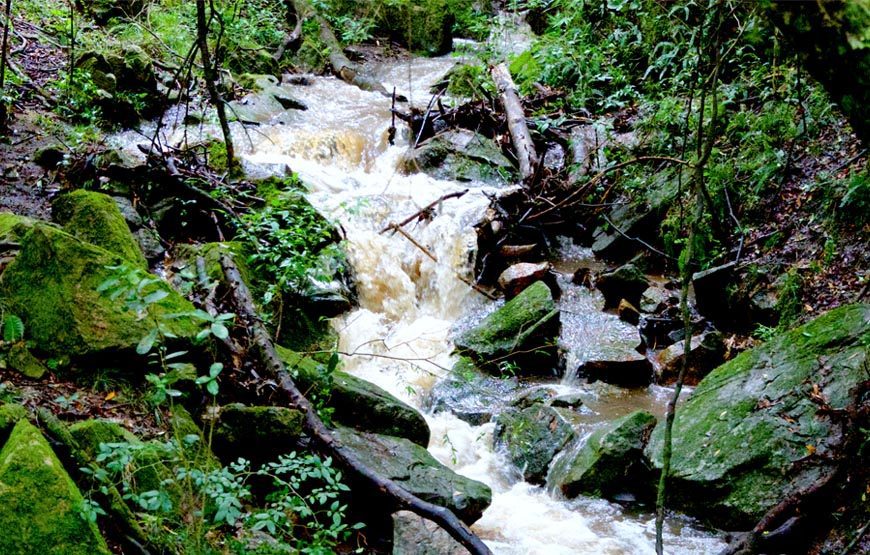 Visita al cerro Marmarajá – Reserva KYKYO