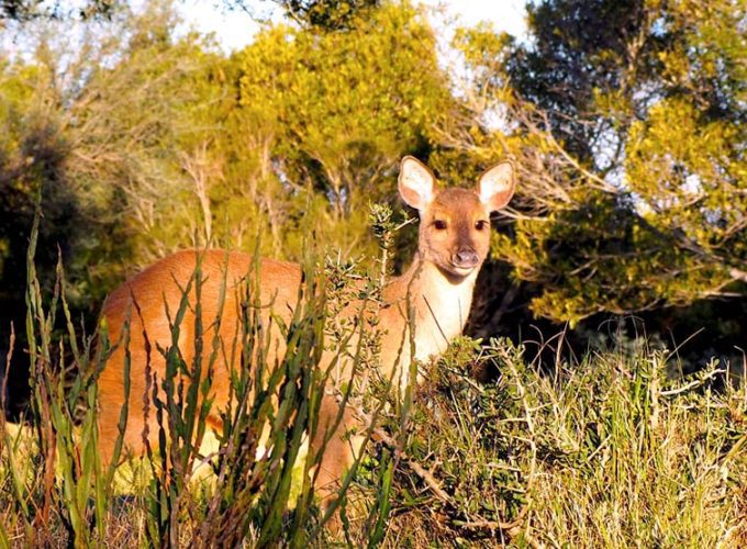 Visita al cerro Marmarajá – Reserva KYKYO